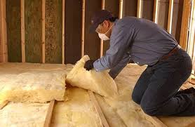 Best Eco-Friendly or Green Insulation Solutions  in Davie, FL